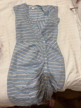 Veronica Bears Blue and White Striped Midi Button-Front Dress